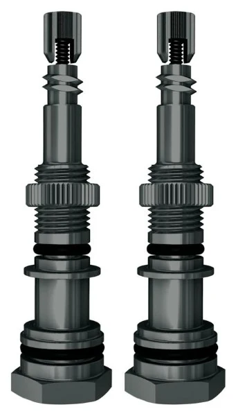 Airspy Presta Adapter